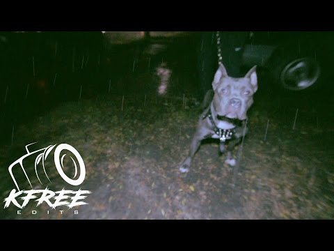 CoKane Cash - Bully Max (Official Video) Shot By @Kfree313