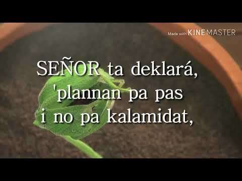 Promesa: Jeremias 29:11❤