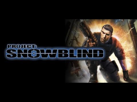 Project: Snowblind Review