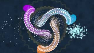 The Moonlight Surfer