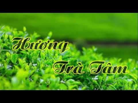 Hương trà tâm Sheet - Cao Huy Thế