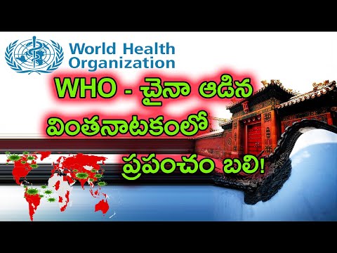 China Needs to be Held Responsible for this Mess