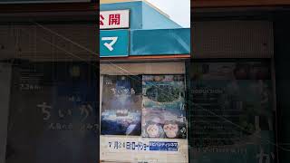 2026年6月29日