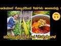 ಮನೆಯಲ್ಲಿ ನಾನೇ ಬೆಳೆಸಿದ ಮೆಕ್ಕೆಜೋಳ Home Made Na