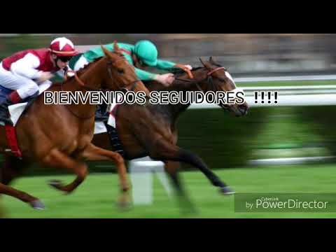 Caballos de furia Pista la marianita