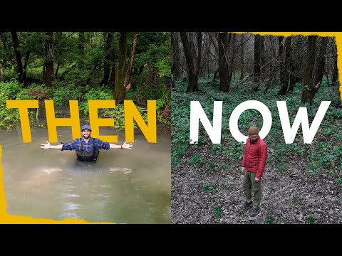 Marshes and Swamps: The Forgotten Ecosystems | Community Health