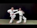 Unsu Bunkai 7