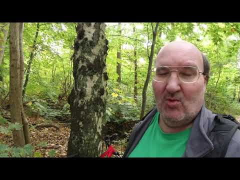 MongoTV_7360 - MIN GÅTUR - Del 13 - Søndag 17.Oktober 2021 - Gråt Men Regner Ikke