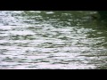 My Edited Video