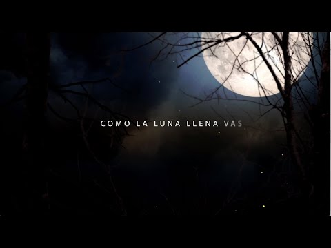 Video Como La Luna Llena Vas (Letra) de Alberto Plaza