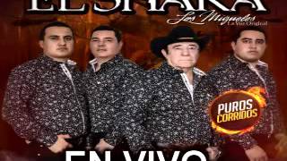 Los Migueles - Aferrado