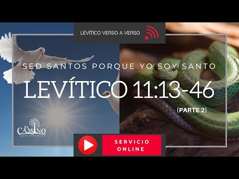 Levítico 11:13-46 🐾  [Animales LIMPIOS e INMUNDOS #2] Sed SANTOS porque yo soy SANTO