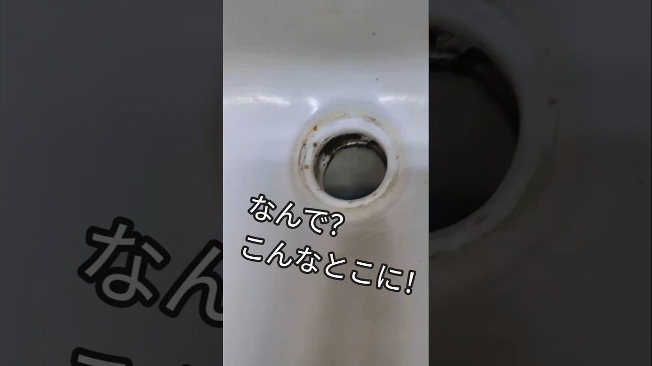 排水口に流してしまった大切な物　 #職人 #掃除 #排水口