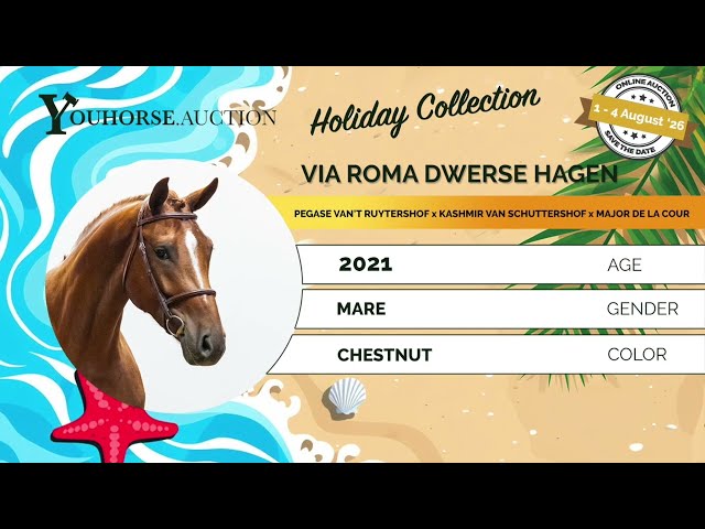 Via Roma showvideo