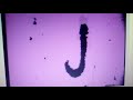 Sesame Street 2094 Sand J J