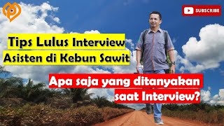 Apa Pertanyaan Saat Interview di Perusahaan Kebun Kelapa Sawit? Bocoran & Tips Untuk Menjawabnya