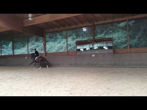 Leonardo von Livaldon