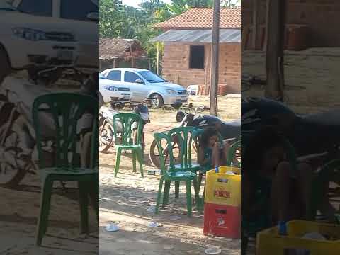 VESPERAL EM MEÃO PERI MIRIM, MUSICAL MORENINHO LION STANLEY