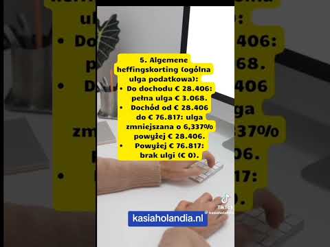 Podatki firm jednoosobowych w Holandii w 2025 roku
