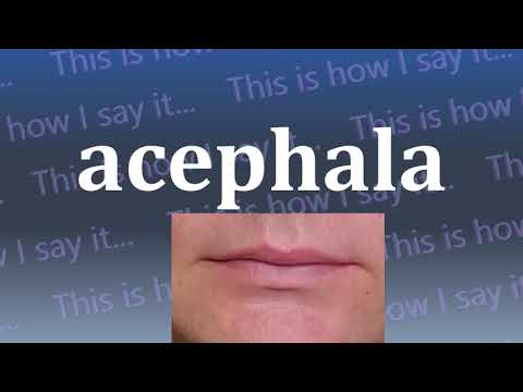 This is How I Say...acephala