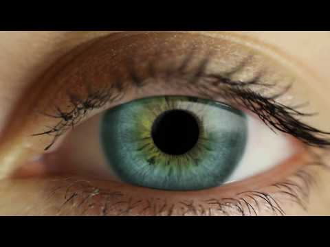 ....from 0 to 280 bpm in 40 seconds...