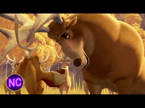 Elliot Gets SMASHED 😳 | Open Season | Now Comedy