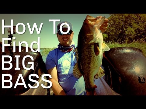How To Find Big Bass - Bass Fishing Tips and Techniques