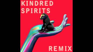 SBTRKT - The Light (Kindred Spirits (GER) Remix)