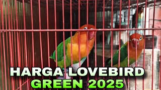 Download lagu Harga Lovebird biola green di bulan januari 2025 mp3 Download lagu Harga Lovebird biola green di bulan januari 2025 mp3