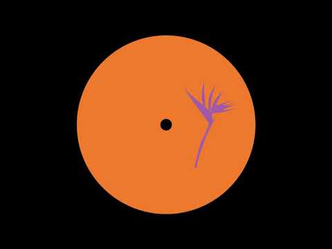 PREMIERE: Bisharat - Perspective (Doubtingthomas Remix) [Purple Print]