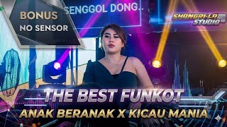 Download lagu SHANGRILA NEW ‼️THE BEST FUNKOT 2026 ‼️DJ ANAK BERANAK ‼️DJ DEVI BILQIS VS DJ ARI mp3