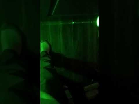 loser ville Everett Washington