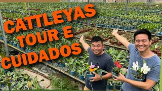 Miniatura do vídeo