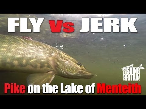 Pike on the Lake of Menteith Fly and Lure  – Fishing Britain Short