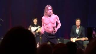 Iggy Pop - Run Like A Villain [HD] (2022 live @ Liederhalle | Stuttgart)