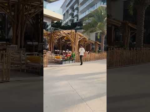 Beautiful Place | Sadiyath Island | Abudhabi