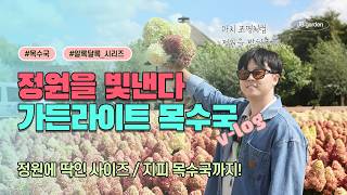 입고 완료! 유럽 목수국 가든라이트 시리즈 ???? | 내 정원을 조명처럼 비춰준다? 내 목수국이 빨개질지 …