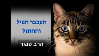 הרב פנגר - העכבר הפיל והחתול, משל חשוב עם מוסר השכל מצמרר (הרב יצחק פנגר) - התמונה מוצגת ישירות מתוך אתר האינטרנט יוטיוב. זכויות היוצרים בתמונה שייכות ליוצרה. קישור קרדיט למקור התוכן נמצא בתוך דף הסרטון הרב פנגר - העכבר הפיל והחתול, משל חשוב עם מוסר השכל מצמרר (הרב יצחק פנגר) - התמונה מוצגת ישירות מתוך אתר האינטרנט יוטיוב. זכויות היוצרים בתמונה שייכות ליוצרה. קישור קרדיט למקור התוכן נמצא בתוך דף הסרטון