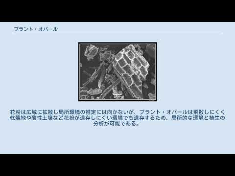 遺伝学:イネ科植物における特許盗難
