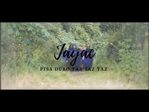 Jayac Pisa Duro Taz Taz Taz - letra