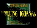 Howling Iguanas - When all you see is blue (Blues ...