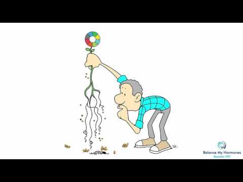 UK Hormone Treatments- Balance My Hormones.co.uk