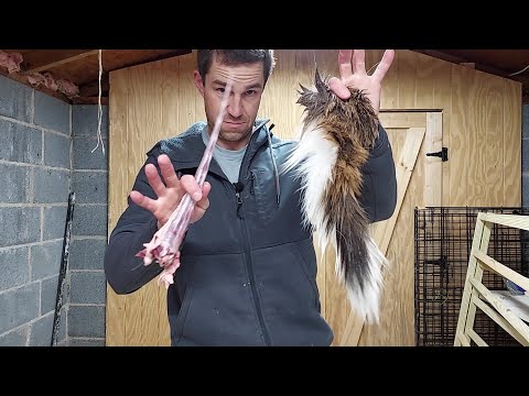 Bucktail Processing - Deboning and Drying a Deer Tail - Fly Tying, Musky Bucktails, Bucktail Jigs