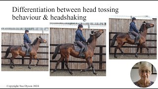 Dr. Sue Dyson - Differentiation Between Head Tossing Behaviour & Head-shaking