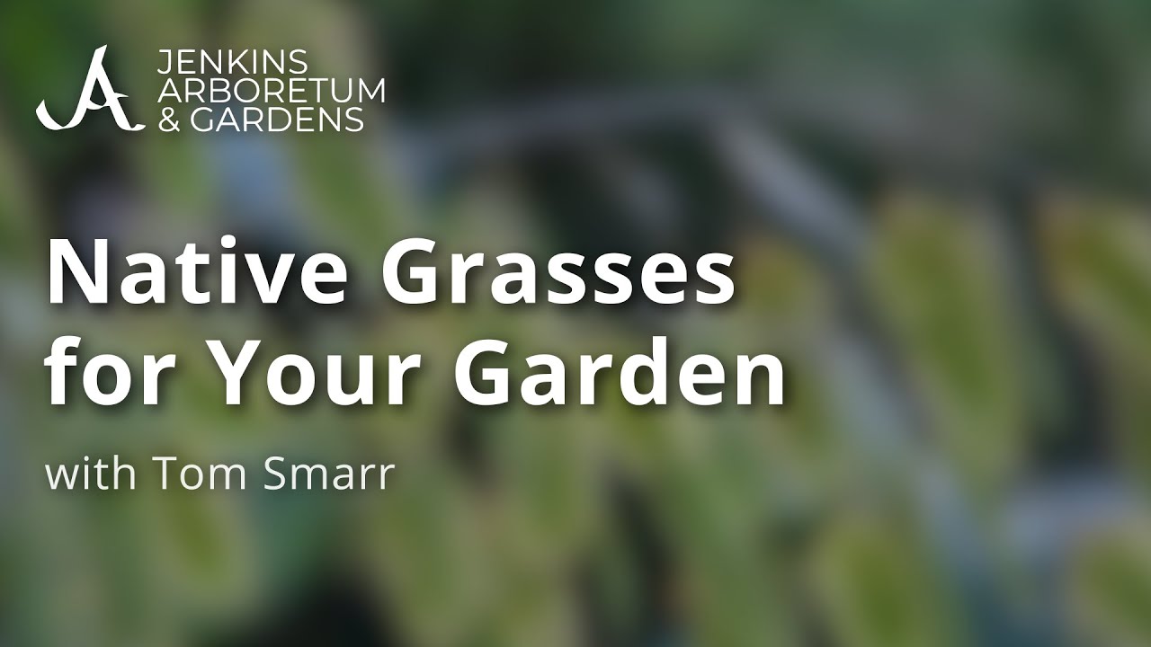 Native Grasses for Your Garden with Tom Smarr