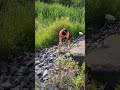 NATURE BOY CATCHES A SNAKE | NATURE | WILDLIFE | ANIMALS