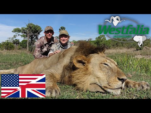 Hunt on Lion and Buffalo: Tanzanias wild Hunter