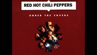 Red Hot Chili Peppers - Dr Funkenstein - Bonus Track [HD]
