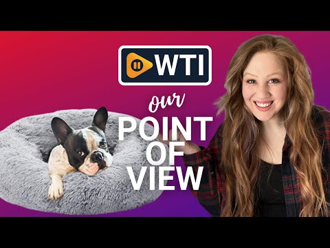 Eterish Calming Dog Beds - WTI product video review