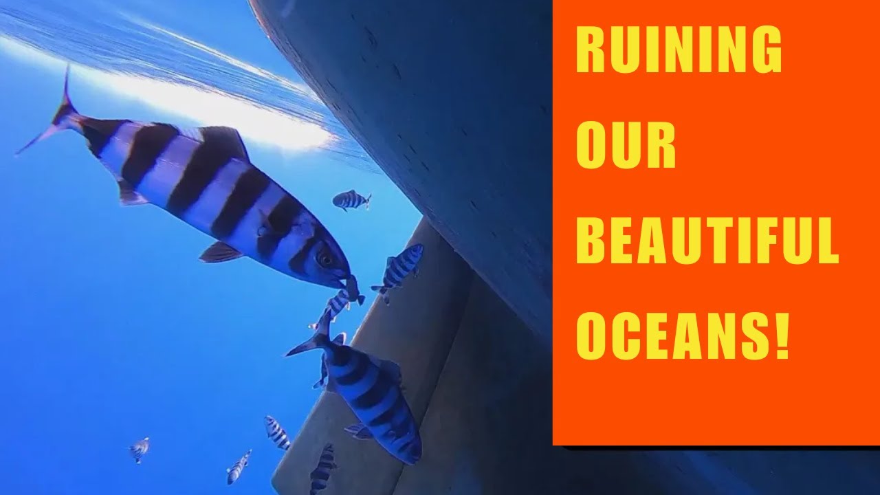 SAILING SARDINIA - Sea Trash!